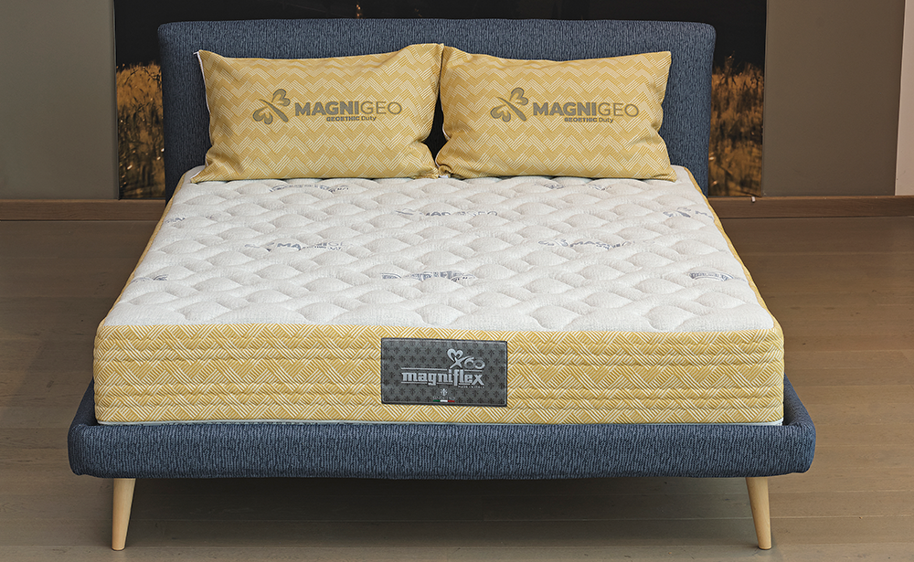 Magnigeo