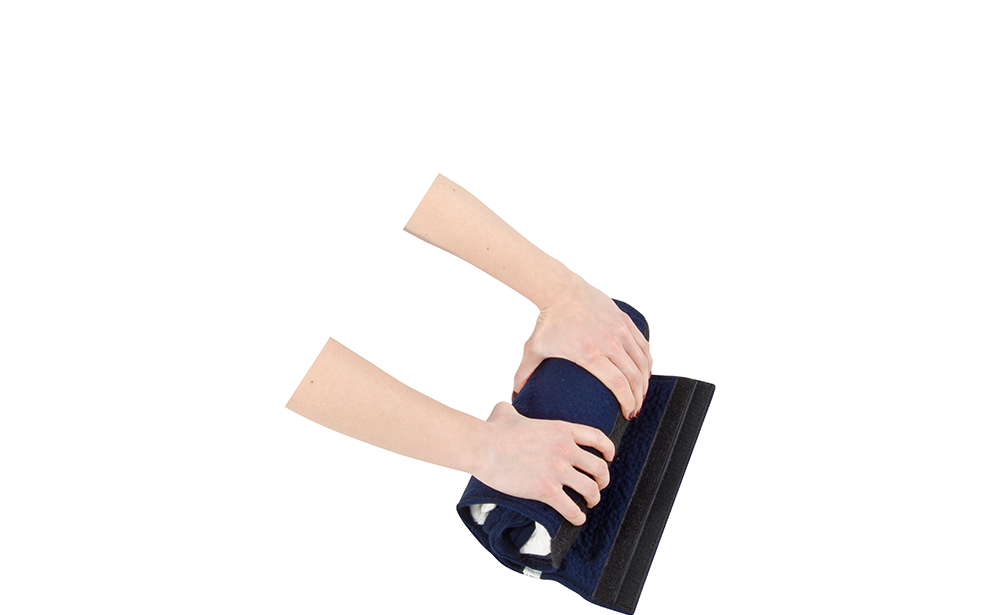 Sushi Pillow