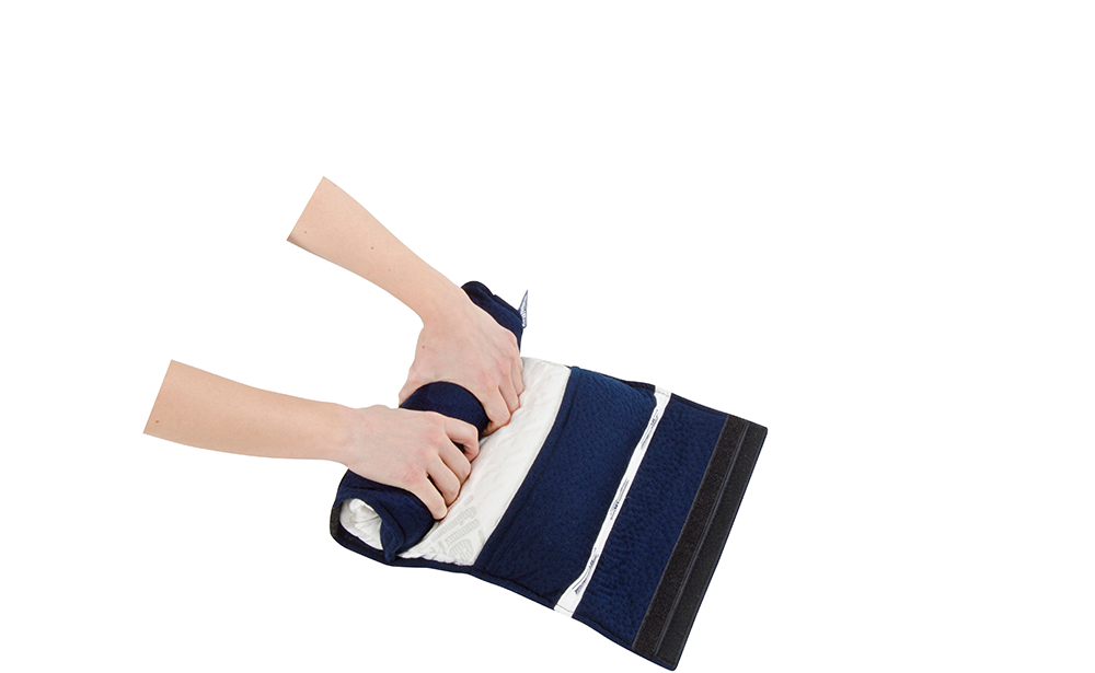 Sushi Pillow