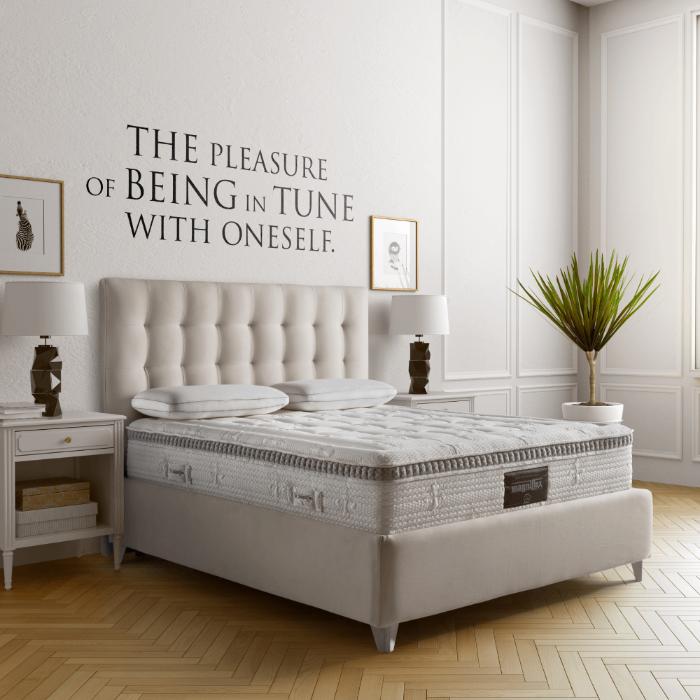 Armonia Memoform Dual