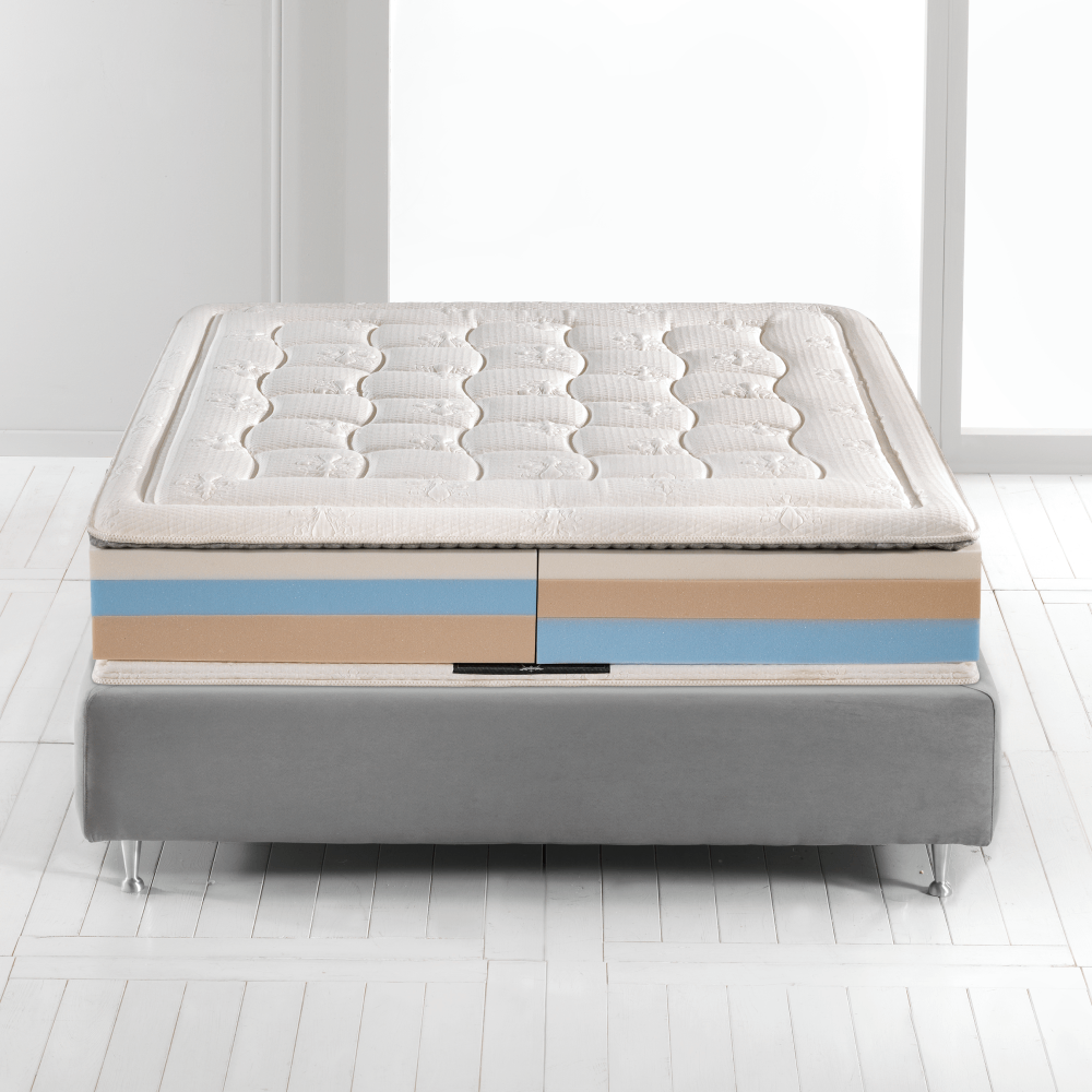 Armonia Memoform Dual